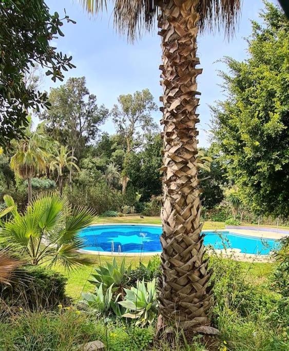 בנאלמדנה Soleado Apartamento Golf Y A 900 M De La Playa מראה חיצוני תמונה
