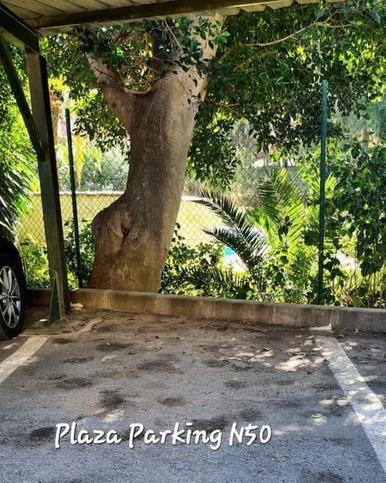 בנאלמדנה Soleado Apartamento Golf Y A 900 M De La Playa מראה חיצוני תמונה